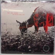 Big Bend Unconventional Dog Record Album Vinyl LP w/ Download - £37.57 GBP