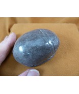 (Y-SCA-711) Silver obsidian Scarab beetle bug gemstone Egyptian bugs fig... - $444.00 MXN
