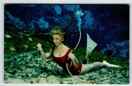 Postcard Weeki Wachee Mermaid Florida Swimsuit Women Underwater Follies Chrome - £9.79 GBP