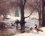 Canada Goose REMINGTON Wildlife Art Collection Print - £19.44 GBP