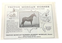 Triton Morgan Horses Print Ad 1966 Vintage San Josa CA Lippitt Pecos - $9.95