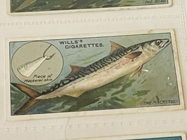 WD HO Wills Cigarettes Tobacco Trading Card 1910 Fish Bait Lure #49 Mack... - $19.69