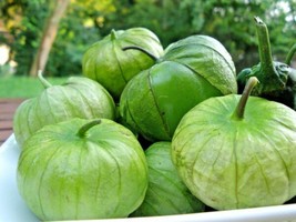 101+Tomatillo Gigante Seeds Organic Summer Vegetable Grow From US - £7.73 GBP
