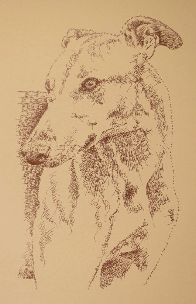 Greyhound dog art portrait drawing two PRINT 21 Kline adds dog's name free. GIFT