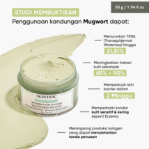 SKINTIFIC Mugwort Clay Mask  Anti-Aging Acne Pore Redness Oily Skin Barrier 55gr - £30.40 GBP