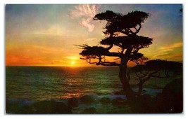 Sunset Tree Felicia Dorothea Hemans Unused Postcard - $14.84