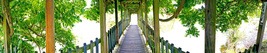 AllenbyArt Bridge to Light Landscape Scenery of Boomkroonpad Wall Art Posters - £47.96 GBP+