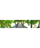 AllenbyArt Bridge to Light Landscape Scenery of Boomkroonpad Wall Art Po... - £47.81 GBP+