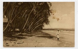 Coconut Palms Mayaro Beach Postcard Trinidad BWI - $17.82