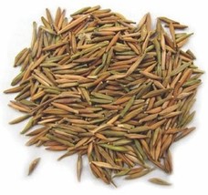 100% Pure Karva Indrajau Bitter Ol EAN Der Holarrhena Pubescens Whole - 250 Gram - £18.07 GBP