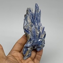 246.7g, 5.6&quot;x2.2&quot;x1.6&quot;,Blue Kyanite Quartz  Mineral Specimen @Brazil, B3... - £38.67 GBP
