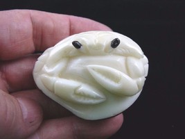 (TNE-CRAB-314) little white Blue Crab sea crabs TAGUA NUT palm figurine carving - £19.54 GBP