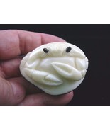 (TNE-CRAB-314) little white Blue Crab sea crabs TAGUA NUT palm figurine ... - $466.42 MXN