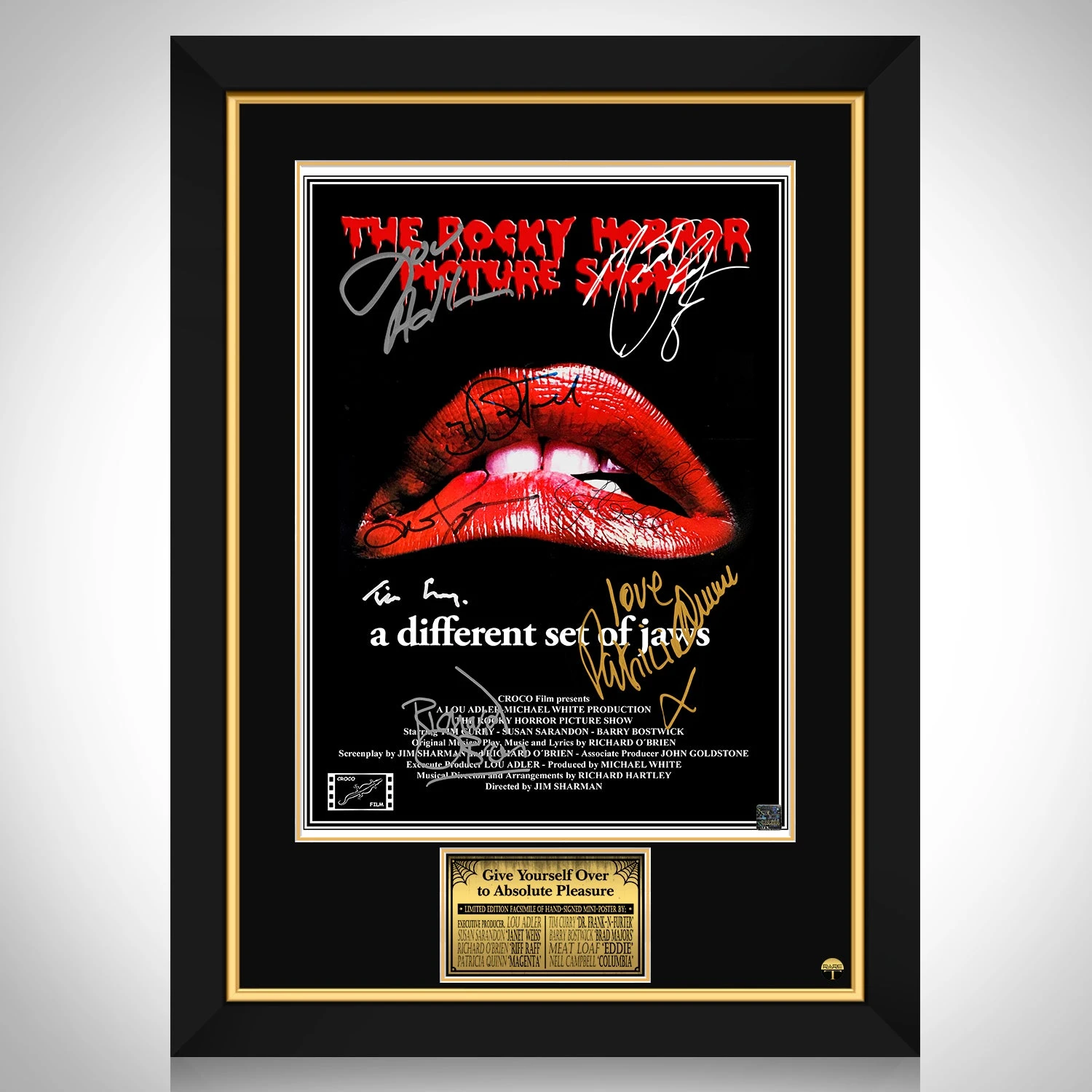 Rocky Horror Picture Show Mini Poster Limited Signature Edition Custom Frame - £247.58 GBP
