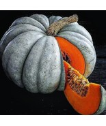 15 SEEDS JARRAHDALE BLUE PUMPKIN GROW QUICK HEIRLOOM SEEDS STUNNING GARDENS - $8.35