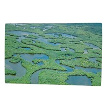 Postcard Cape Sable Beach Everglades National Park Florida Chrome Unposted - £5.53 GBP