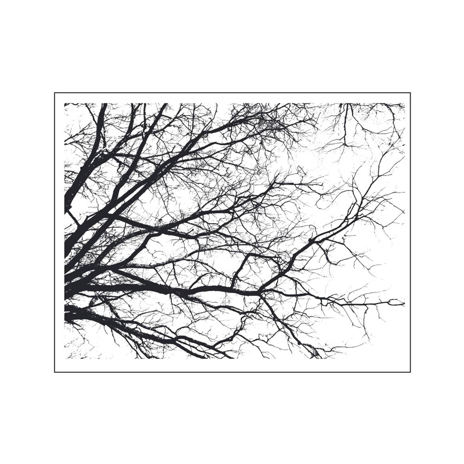 Tree branches background Transparent Clear stamps Rubber seals for DIY s... - $4.38