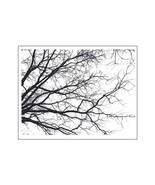 Tree branches background Transparent Clear stamps Rubber seals for DIY s... - $4.38