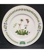 Portmeirion Botanic Garden 25th Anniversary Dinner Plate Bellis Perennis... - $463.15 MXN
