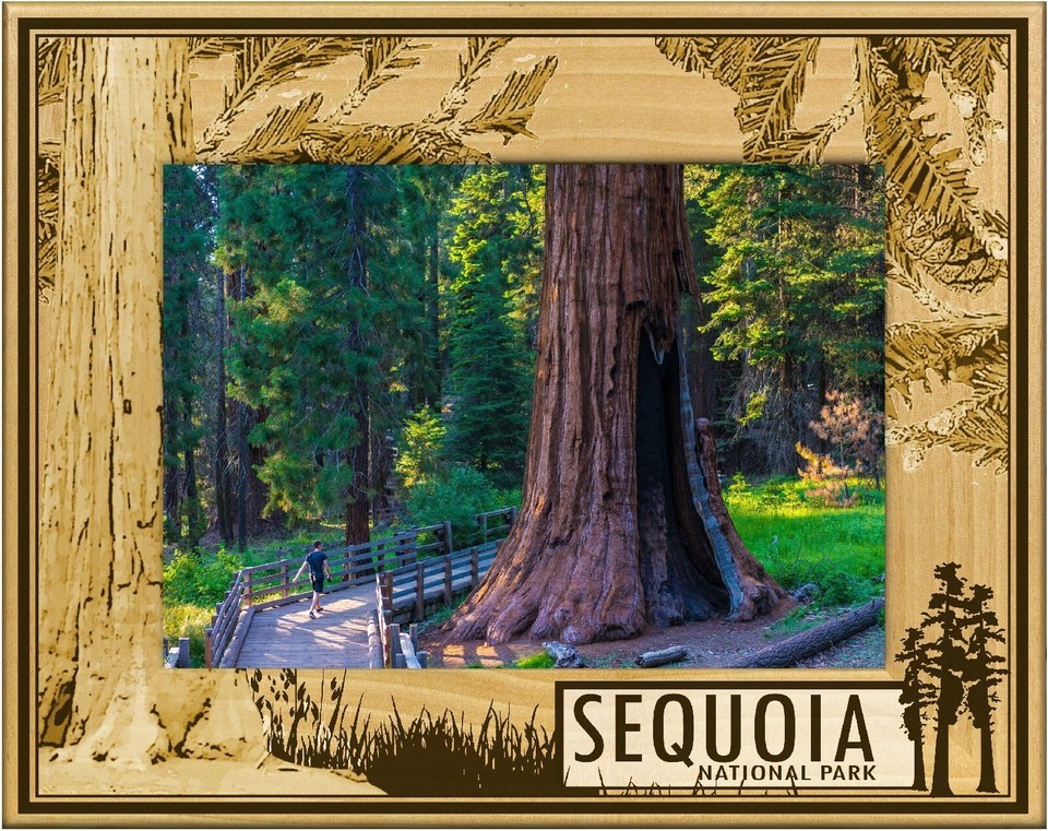Sequoia National Park with Tree&#39;s Laser Engraved Wood Picture Frame (4 x 6) - $29.99