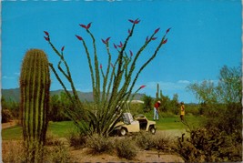 Golfing at Carefree Arizona Postcard PC387 - £3.94 GBP