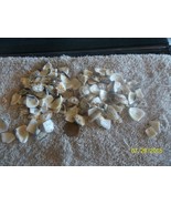 approx 500 grams drilled Sea Shell Beads assorted sizes fun to work with - £7.49 GBP