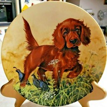 Irish Setter Collector Plate &quot;Missing the Point&quot; by Lynn Kaatz Edwin M K... - $18.70