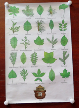 Vintage Smokey Bear Nature Poster THINK Forest Service 20X30 Leaves &amp; Ne... - $18.04