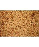 KKG 100 Lentil Seeds Fresh Garden - €8,46 EUR