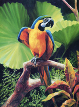 macaw parrot scenic tropical bird jungle ceramic tile mural medallion backsplash - £75.17 GBP+