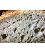 SAN FRANCISCO SOURDOUGH STARTER YEAST SALLY - $156.77 MXN