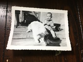 Little Boy Smiling and His Dog Playing on Porch Wagon 1950 real photo - £14.88 GBP
