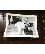 Little Boy Smiling and His Dog Playing on Porch Wagon 1950 real photo - £14.90 GBP