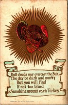 Turkey Sunburst Scroll Poem Embossed Gilt Thanksgiving 1910s DB Postcard Rose Co - £10.63 GBP