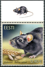 Estonia 2020. Black Rat (Rattus rattus) (MNH OG) Stamp - £2.08 GBP