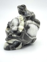 Shell Stone Frog On Skull, Hand-Carved Natural Gemstone, Transformationa... - $37.39