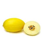 Fresh 15 Casaba Golden Beauty Melon Seeds - $170.23 MXN