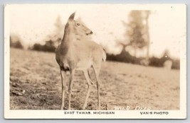 RPPC East Tawas MI Michigan Wild Deer Van&#39;s Photo Postcard U25 - £7.15 GBP