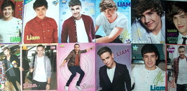 LIAM PAYNE ~ Twelve (12) Color PIN-UPS from 2012-2013 ~ Clippings - £8.86 GBP