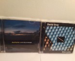 Lot of 2 David Gray CDs: White Ladder, A New Day at Midnight - $7.59