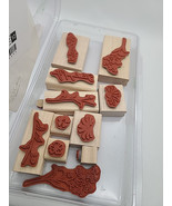 Read Stampin Up WONDERFUL WATERCOLORS flower Floral Wood Stamp Junk Journaling - $15.99