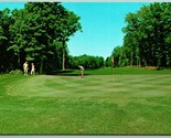 Sugar Loaf Golf Course 3rd Hole Leelanau County Cedar MI UNPChrome Postc... - $6.88
