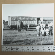 1960s Clyde Beatty Circus Train Car Elephant Car Unloading 8x10in Photo - $35.00