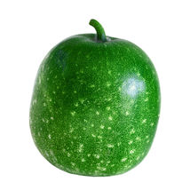 Ship From Us Gourd Apple Small Vegetable Seeds ~ 8 Oz SEEDS- NON-GMO TM11 - £85.85 GBP