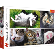 1500 Piece Jigsaw Puzzle, Just Cat Things Collage, Pets, Cats and Kitten... - $22.99