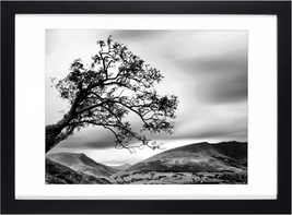 10X14 Picture Frames Black Display 8.5X11 Picture Frame with Mat Documen... - $51.06 CAD