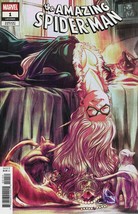 2025 Marvel Comcis Amazing Spider-Man Nimit Malavia Black Cat Variant #1 - £11.99 GBP