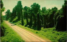 Kudzu Along The Highway An Oriental Legume Mississippi MS Postcard UNP P8 - $3.91