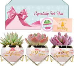 50th Birthday Gifts for Women, Succulent Pots Planters, Small Plant Pots Indoor, - £10.85 GBP