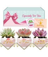 50th Birthday Gifts for Women, Succulent Pots Planters, Small Plant Pots... - £10.73 GBP